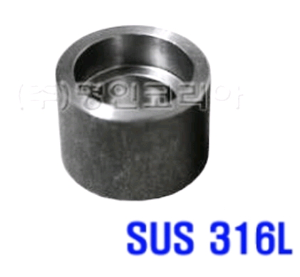 뉴코리아테크 [뉴코리아테크] 단조 용접 보스 (F316L/스텐/25A/31mm/3000PSI, 1개)