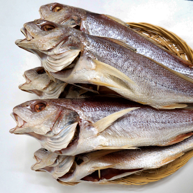 [선미수산] 속초 중앙시장 맛집 반건조 냉동민어 (36cm, 3마리)